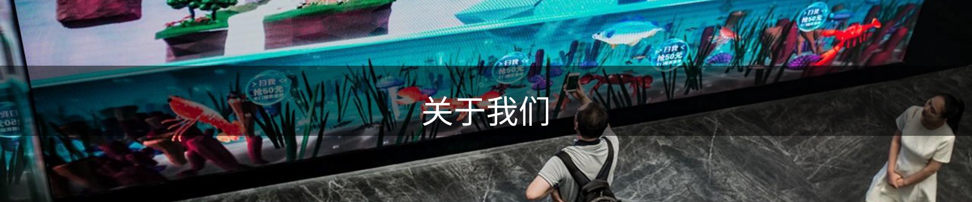 关于我们